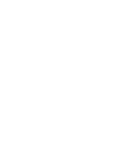 Delice Safrané Logo